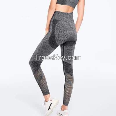 Ladies Seamless sports wear sport bra and sport legging breathable bra and pants &amp; legging