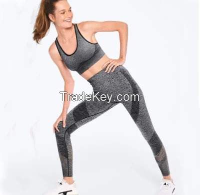 Ladies Seamless sports wear sport bra and sport legging breathable bra and pants &amp; legging