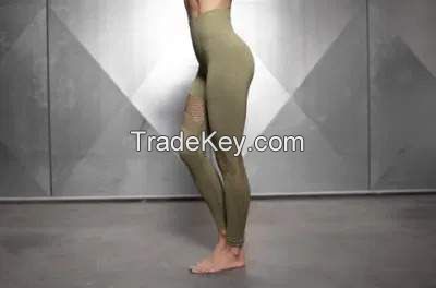 Ladies Seamless Sports Leggings with Contrast Color Jacquard and Gym Wear Sport Pants High Waist Legging and Tight Pants