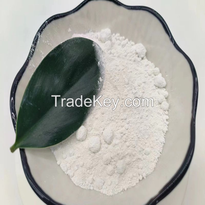 Rutile White Powder Titanium Dioxide TiO2 for Coating/Rubber/Plastic/Masterbatch/Paper