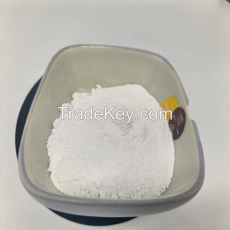 Pigment White Titanium Dioxide Rutile Grade Powder TiO2 for Coating