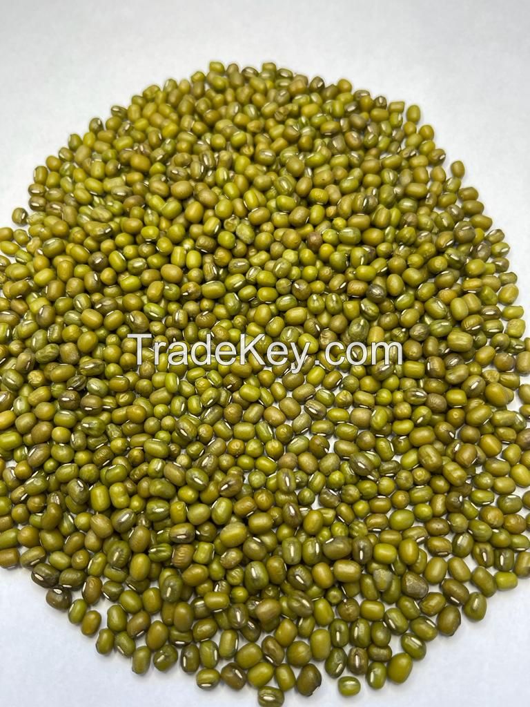 GREEN MUNG BEAN