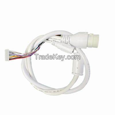 004 CCTV Cable For Ip Camera Manufacturers RJ45/DC5.5*2.1/3.5St Wiring Harness With Connector