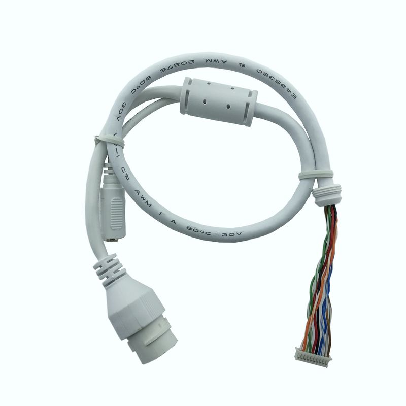 019 Factory Ethernet Cable Mx1.25-10pin To Rj45 Base Dc5.5*2.1 Base Connector Waterproof Wire For Outdoor Cameras