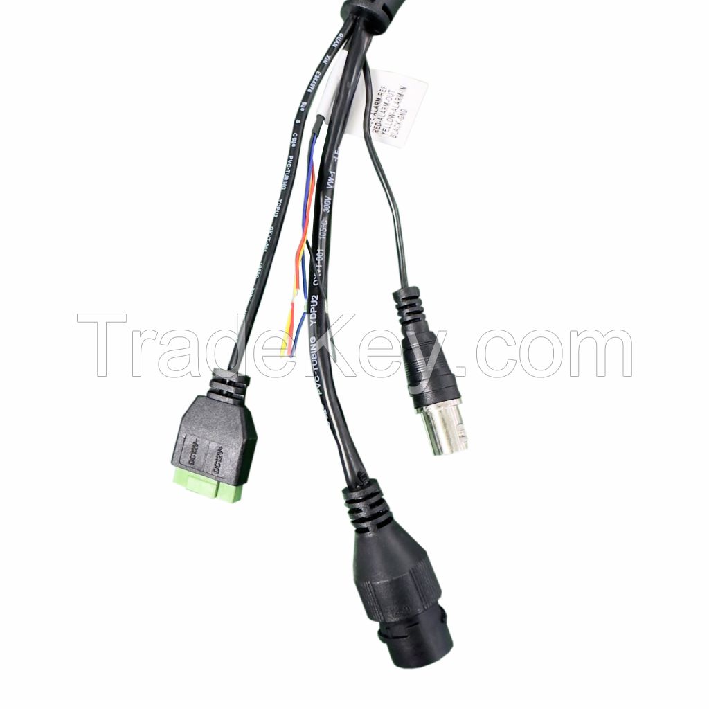 031 Customize Various Specifications Output Cable Waterproof Wire Connecting Complete Wire Electronic Wire Harness RJ45F 3.81PITCH 2PIN