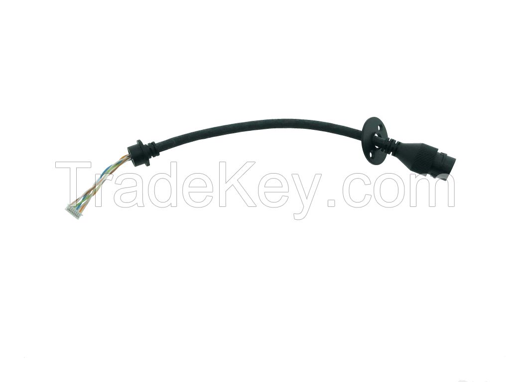 039 Custom Waterproof Cable For IP Camera RJ45F Female Core MX1.25 8PIN Cable With Connector Supplier