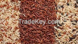 Japonica Brown Rice, 3 In 1 Brown rice, Red brown Rice, Fragrant Brown Rice  and other high quality rice from Vietnam