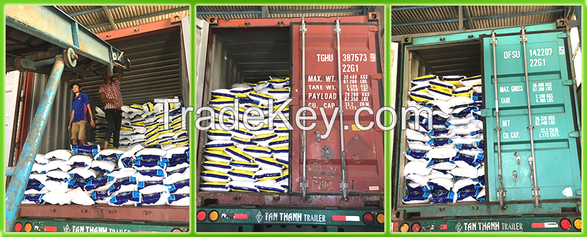 Jasmine Rice, Glutinous Rice, 504 Rice, DT8 Rice, Japonica Rice and rice High quality from Vietnam