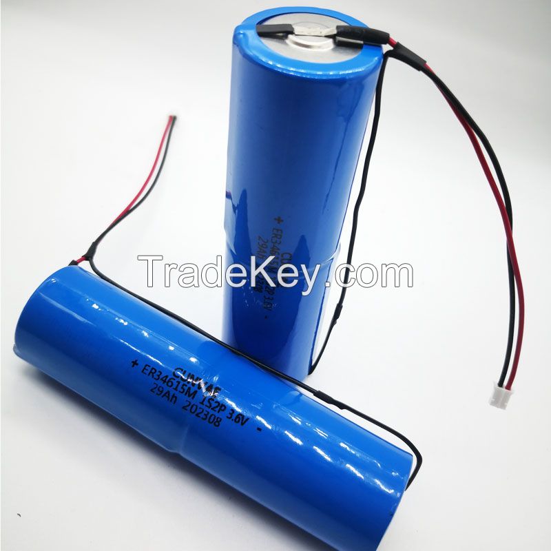 Lithium Battery D Size ER34615m 3.6V 29Ah 1S2P Primary Lisoci2 Batteries Customized for Gas Meter, water meter, heat meter, electricity meter smoke alarm