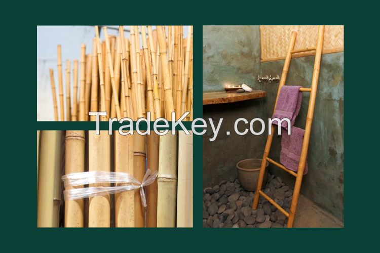 In Bulk Quantity Exporting Bamboo Ladder Vietnamese Product Loading Wholesale From Blue Lotus Farm 2023