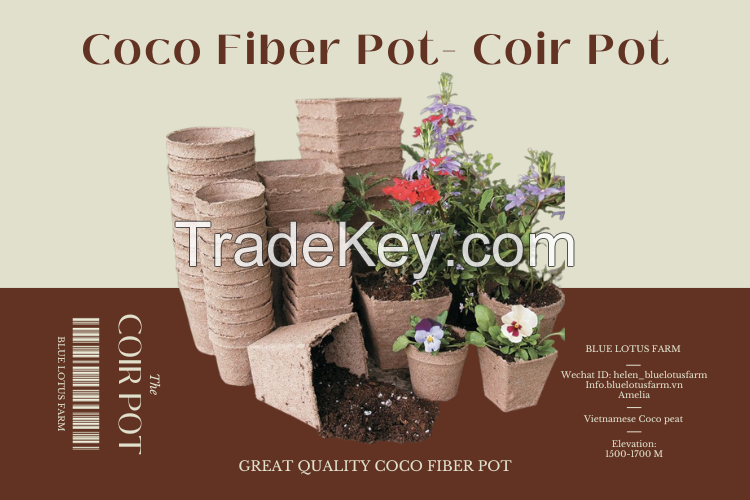 CHEAP PRICE VIETNAMESE COIR POT FLOWER COCONUT FIBER FROM BLUE LOTUS FARM 2023