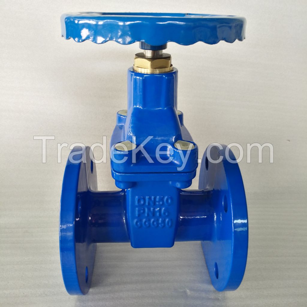 gate valve