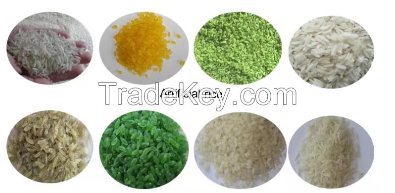 Rice Processing Equipment