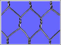 hexagonal wire mesh