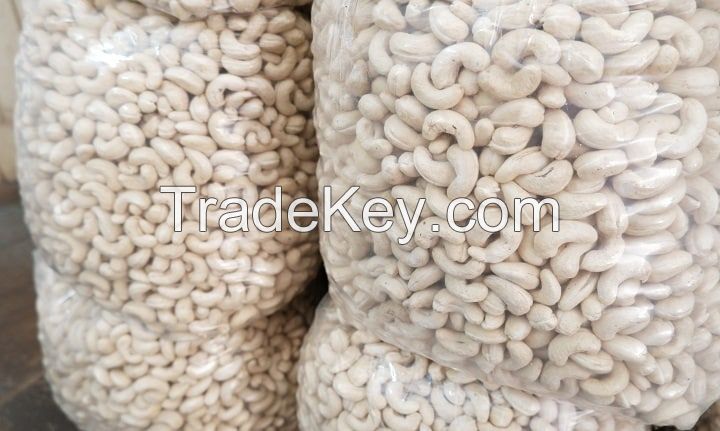 All grades W210, W240, W280, W290, W320, W450 Cashew Nuts Available at Wholesale Rate