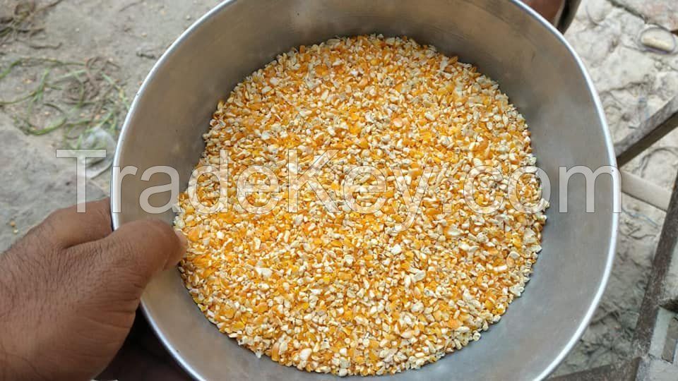 NON GMO Yellow Corn for animal feed