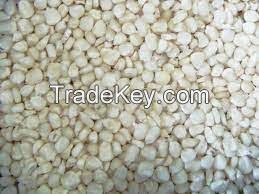 High Quality White/Yellow/Red Corn available in Bulk