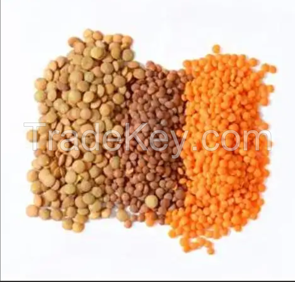 Whole and Split Lentils/Red Lentils/Green Lentils..... Best Grades Best Prices..