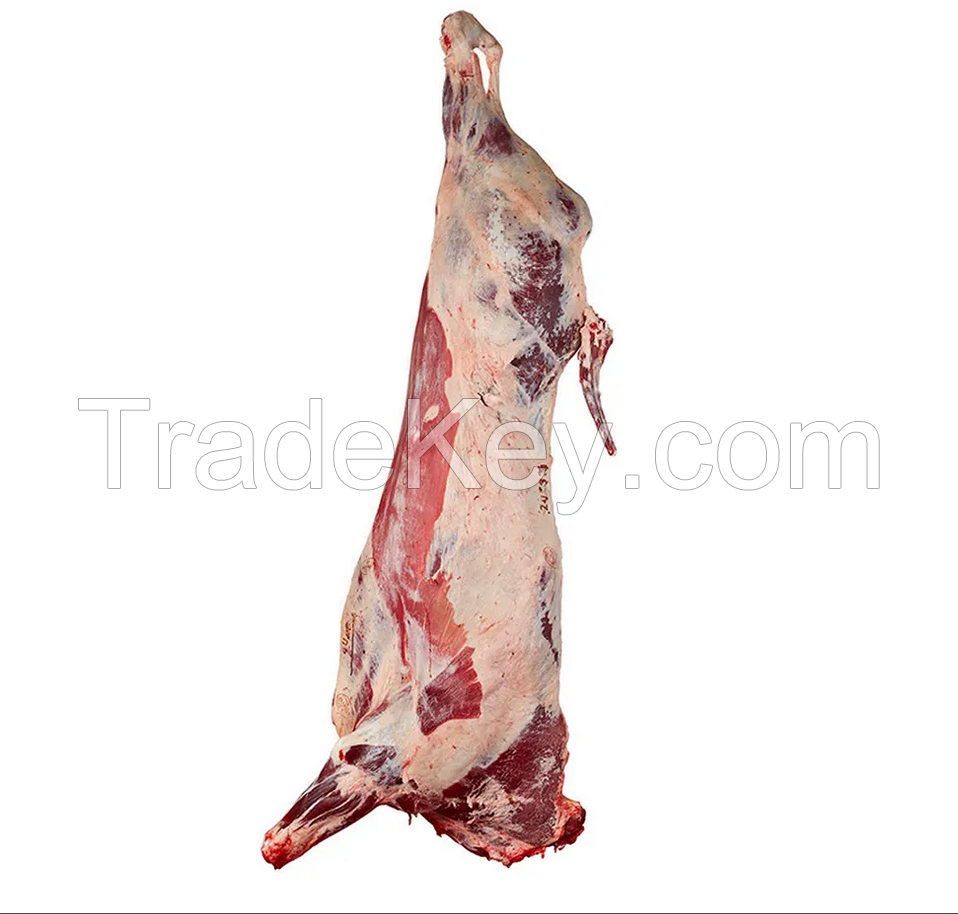 Buffalo Boneless Meat / Frozen Boneless Cow Beef Wholesale Best Price