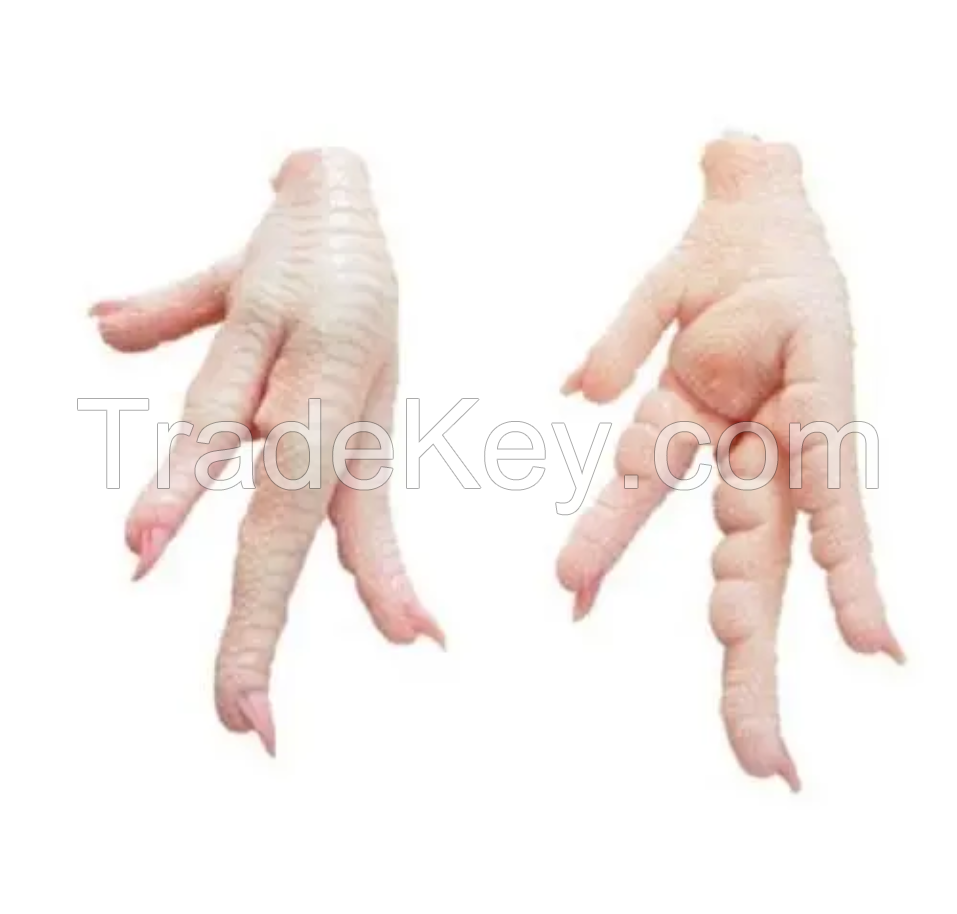 Frozen Chicken Feet for Sale/Frozen Chicken Paw for Sale at cheap price| processed frozen chicken feet