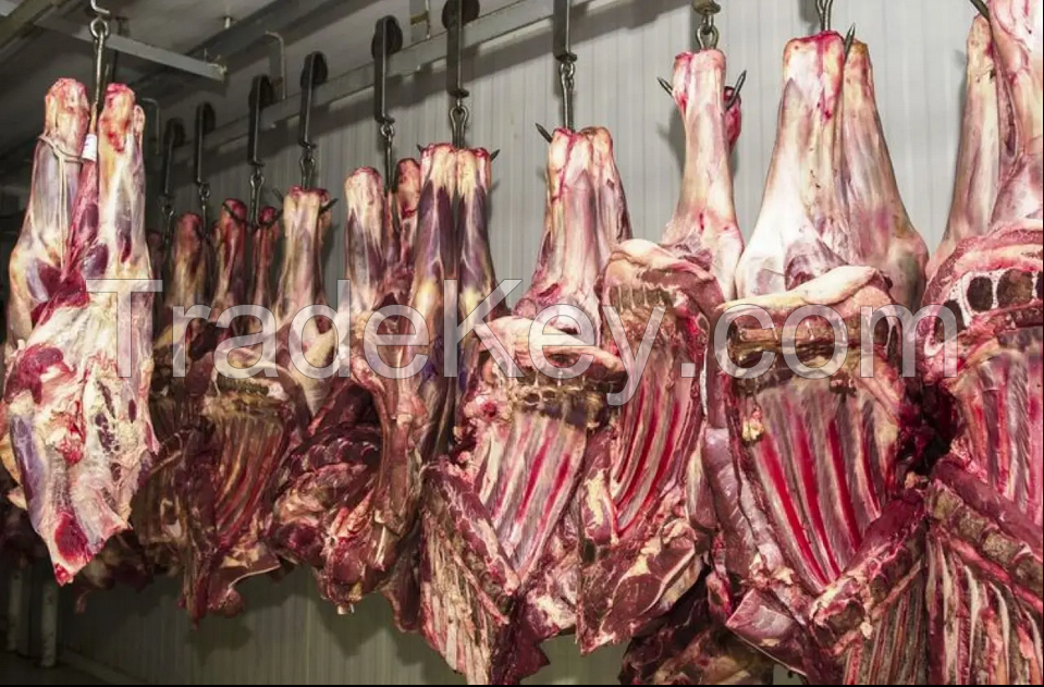 Wholesale Halal Buffalo Boneless Meat/ Frozen Beef Frozen Beef ,cow meat, beef meat for sale.