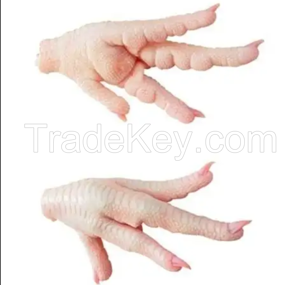 Frozen Chicken Feet for Sale/Frozen Chicken Paw for Sale at cheap price| processed frozen chicken feet