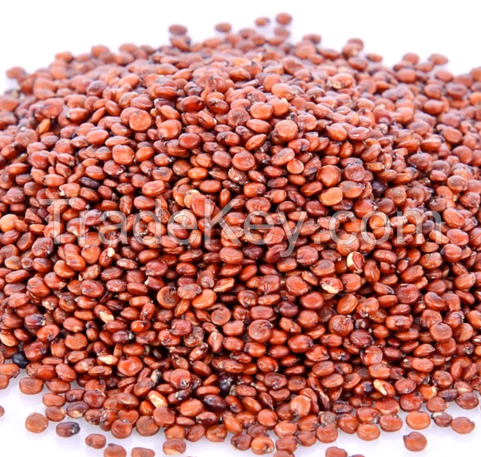 Top Quality Red Quinoa Chenopodium Quinoa