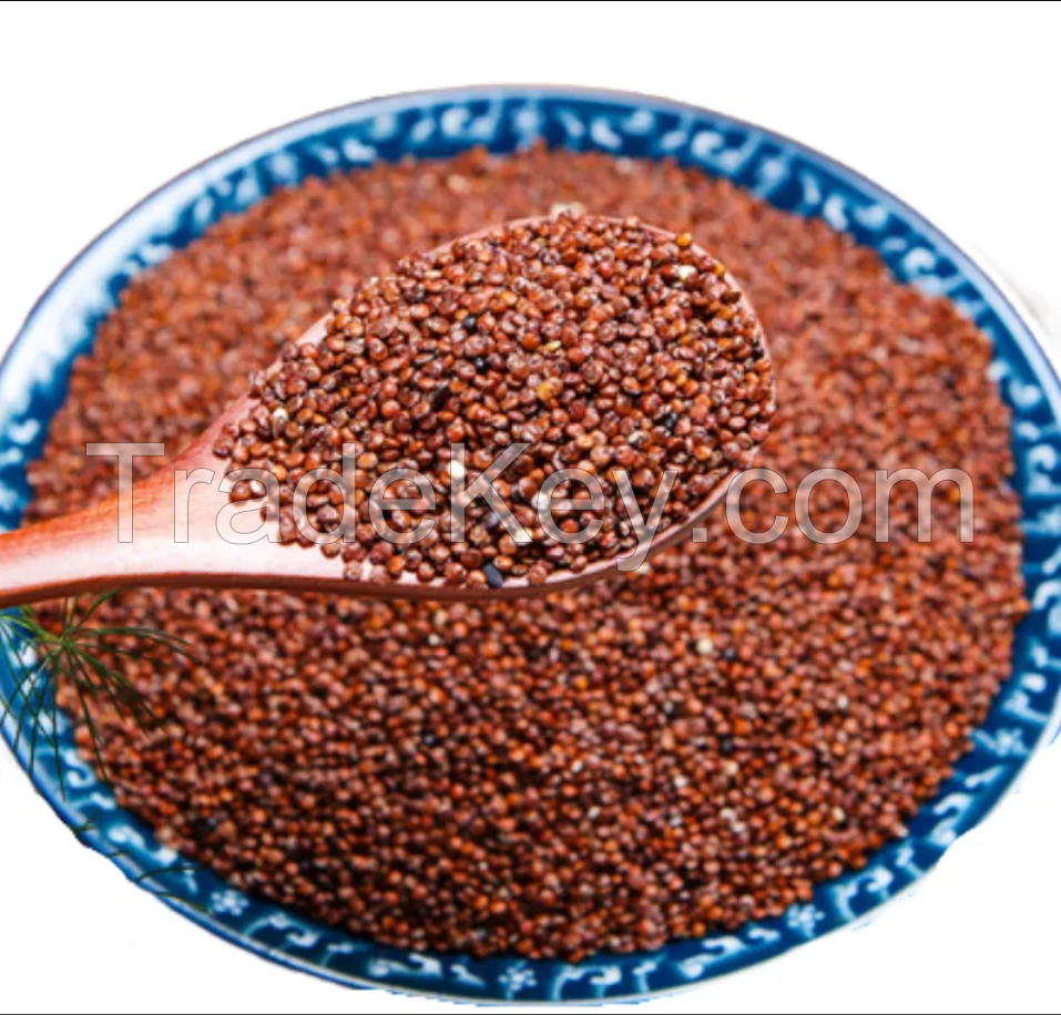 High protein quinoa for sale
