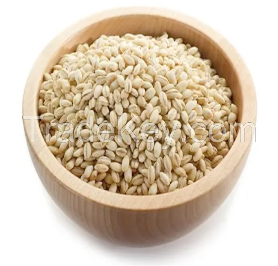 100% Malt Barley,Best Feed Barley Grain / Barley Malt Grain / Hulled Barley Ready from Lithuania Pearl Barley For Sale Animal Feed. 100% Barley Seeds