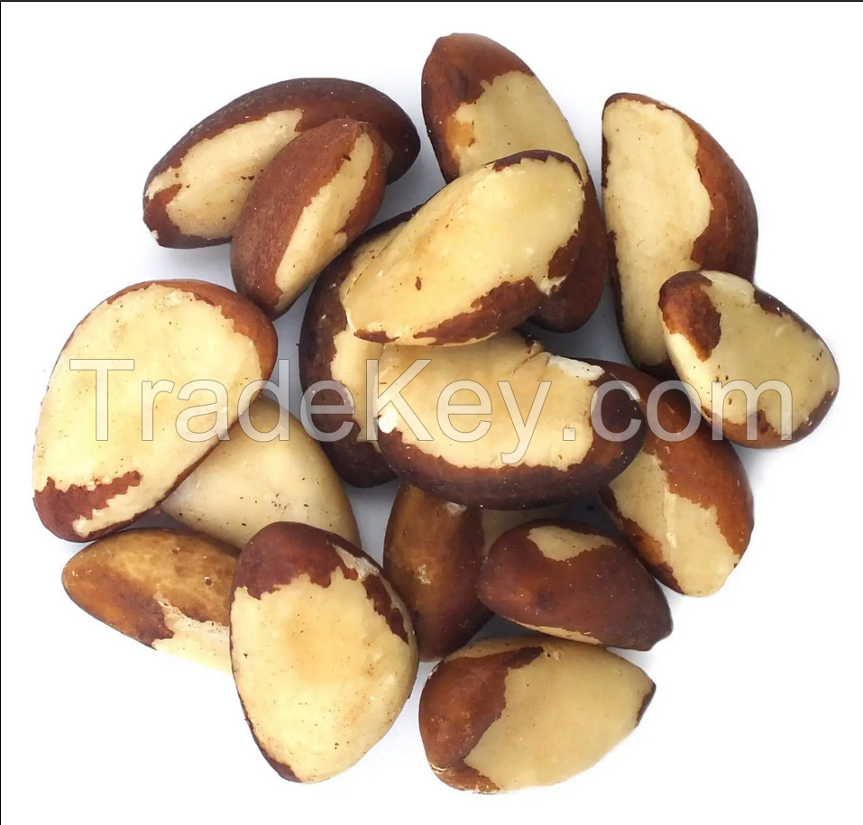 Wholesale Price Raw and Roasted cheap price Brazil Nuts 100% Raw and Roasted Organic Brazil Nuts