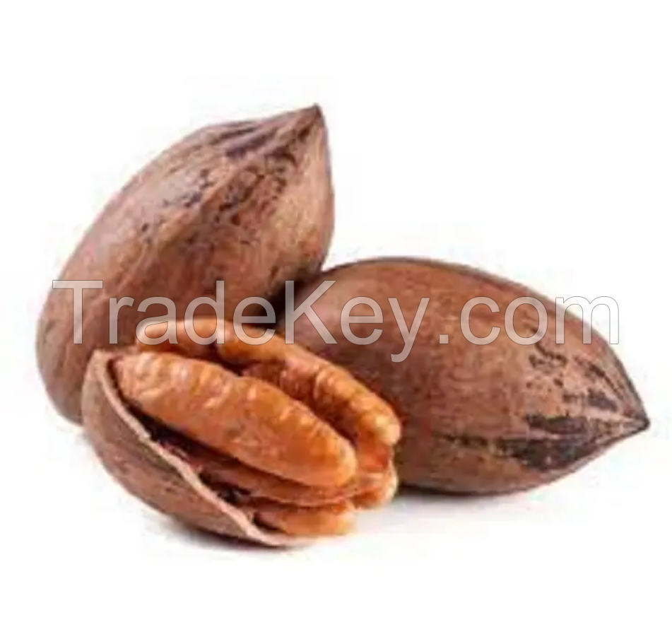 Pecan Nuts Pecan High Quality Fresh Flavoured Pecan Nuts High