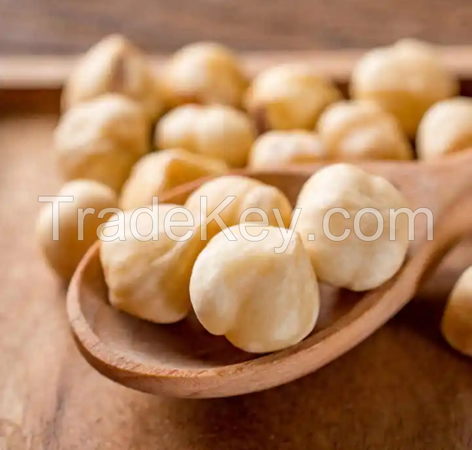 Dried Hazelnuts / Organic Hazel Nuts / Wholesale Hazel Nuts