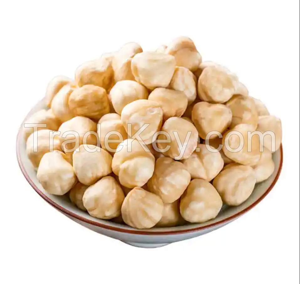 Dried Hazelnuts / Organic Hazel Nuts / Wholesale Hazel Nuts