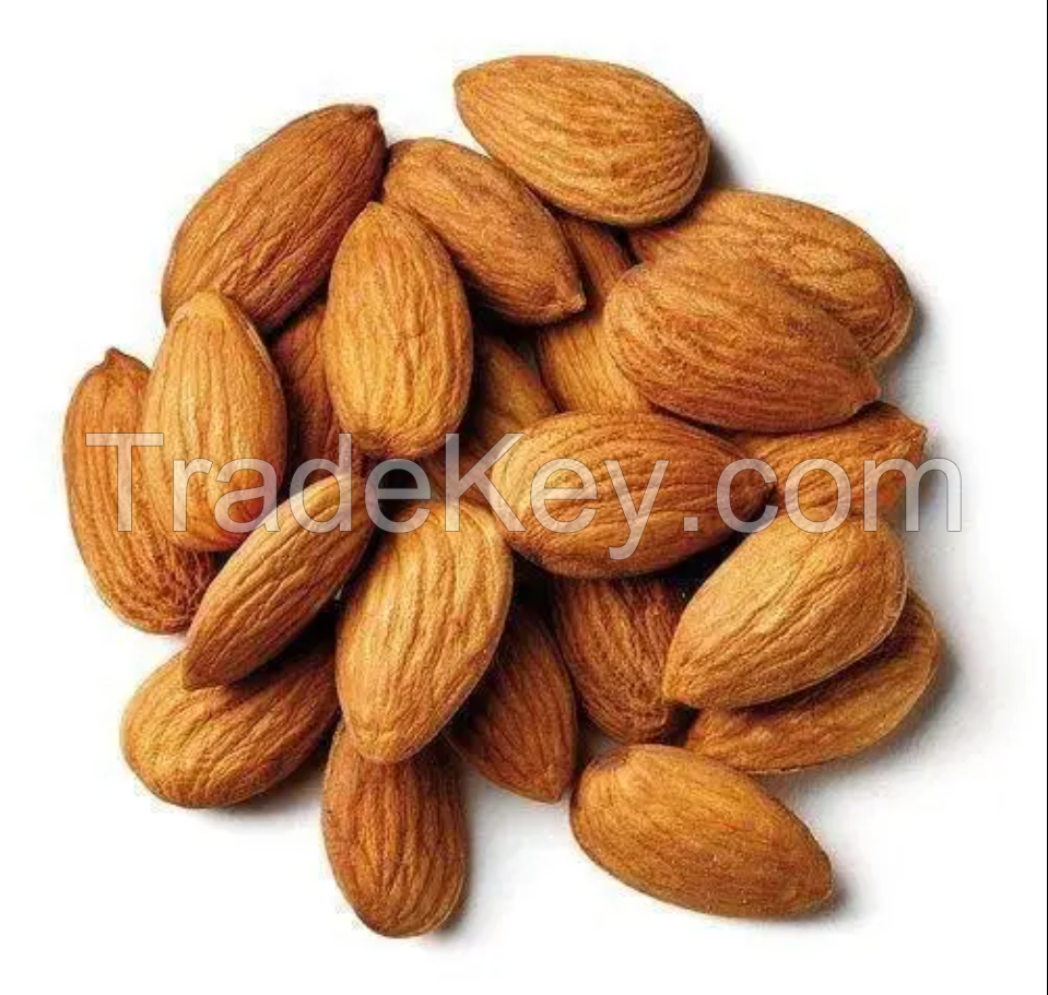 Wholesale Excellent Quality Almonds Salted Roasted Nuts Kernels And Dried Fruits In Bulk Trade For Sale