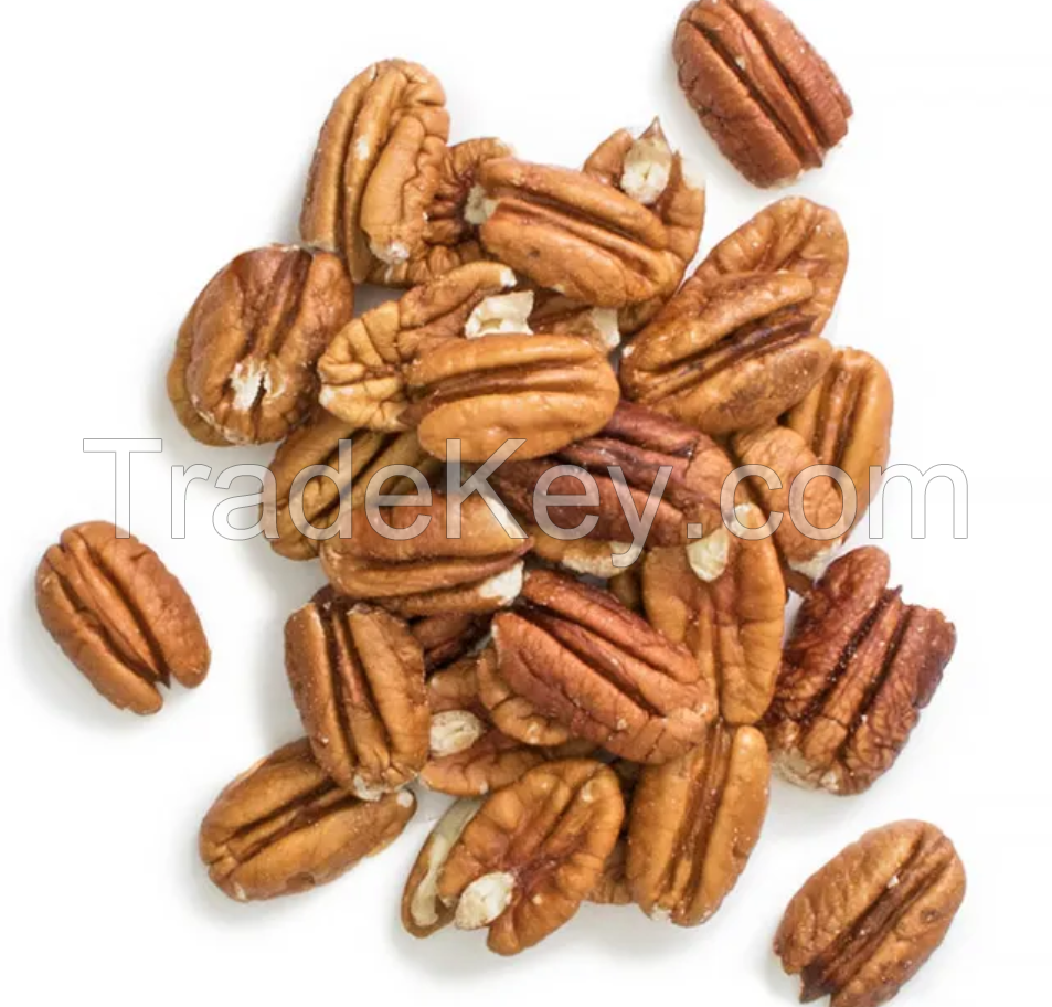 New Crop Good Quality Almond Walnut Pecan Pistachio Pecan Nuts Raw 100%Natural Pecan Nuts
