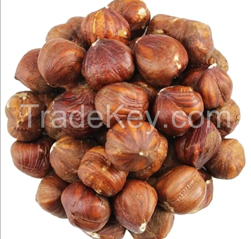 Shelled Hazelnuts Kernels wholesale Hazelnuts kernels Dry Hazelnuts for Sale