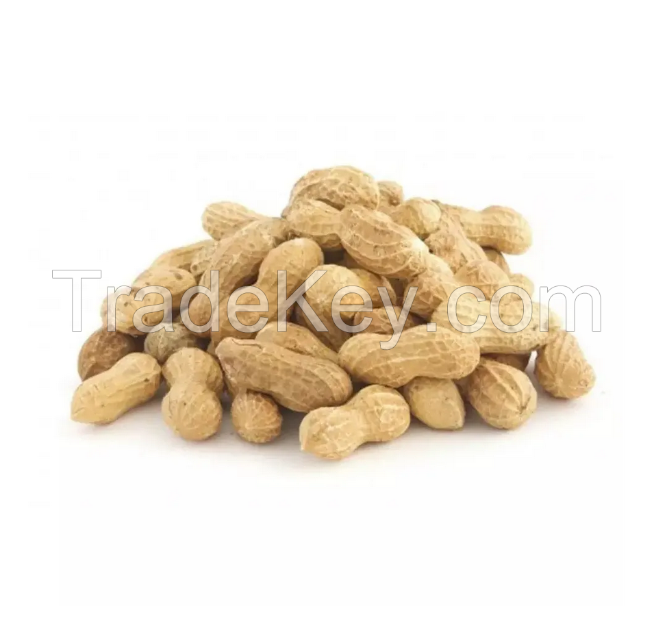 Wholesale Peanuts Organic Peanut Kernels Best Price Raw Peanuts Wholesale Raw Kernel Peanuts High Quality