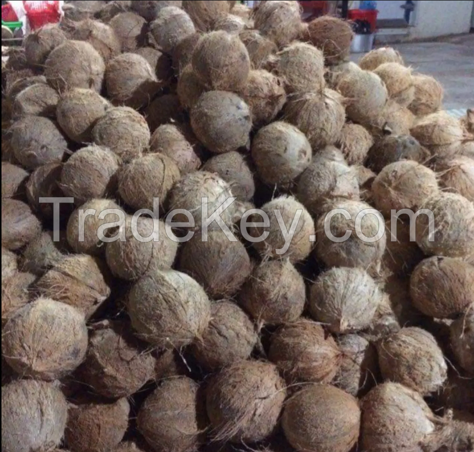 WHOLE SALE SEMI HUSKED COCONUT FROM VIET NAM WITH GOOD PRICE AND HIGH QUALITY