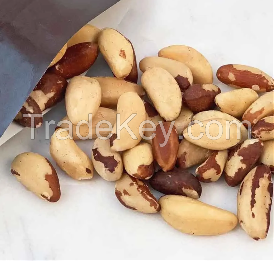 Brazil Nuts, Walnuts , Hazelnuts , Chestnuts in Bulk