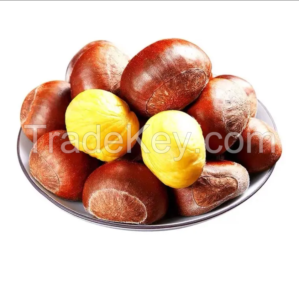 High Quality Frozen Dried Peeled Roasted Chestnuts