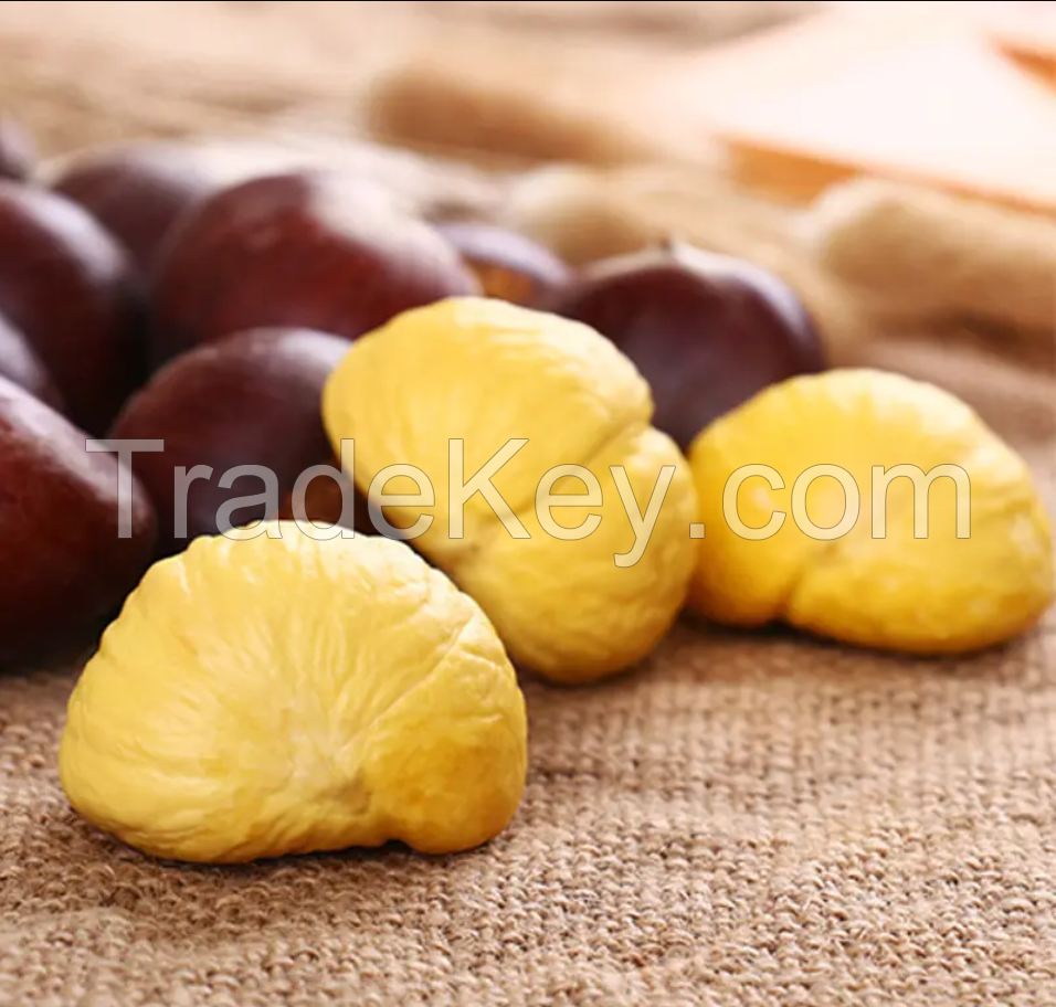 Raw Fresh Chestnut bulk chestnuts price for sale