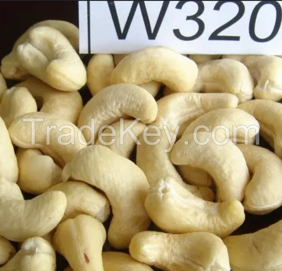 Wholesale Raw Cashew Nuts HIGH QUALITY Cashew Nuts CHEAP PRICE For Cashew Nuts W320 W240 Packing OEM, ODM