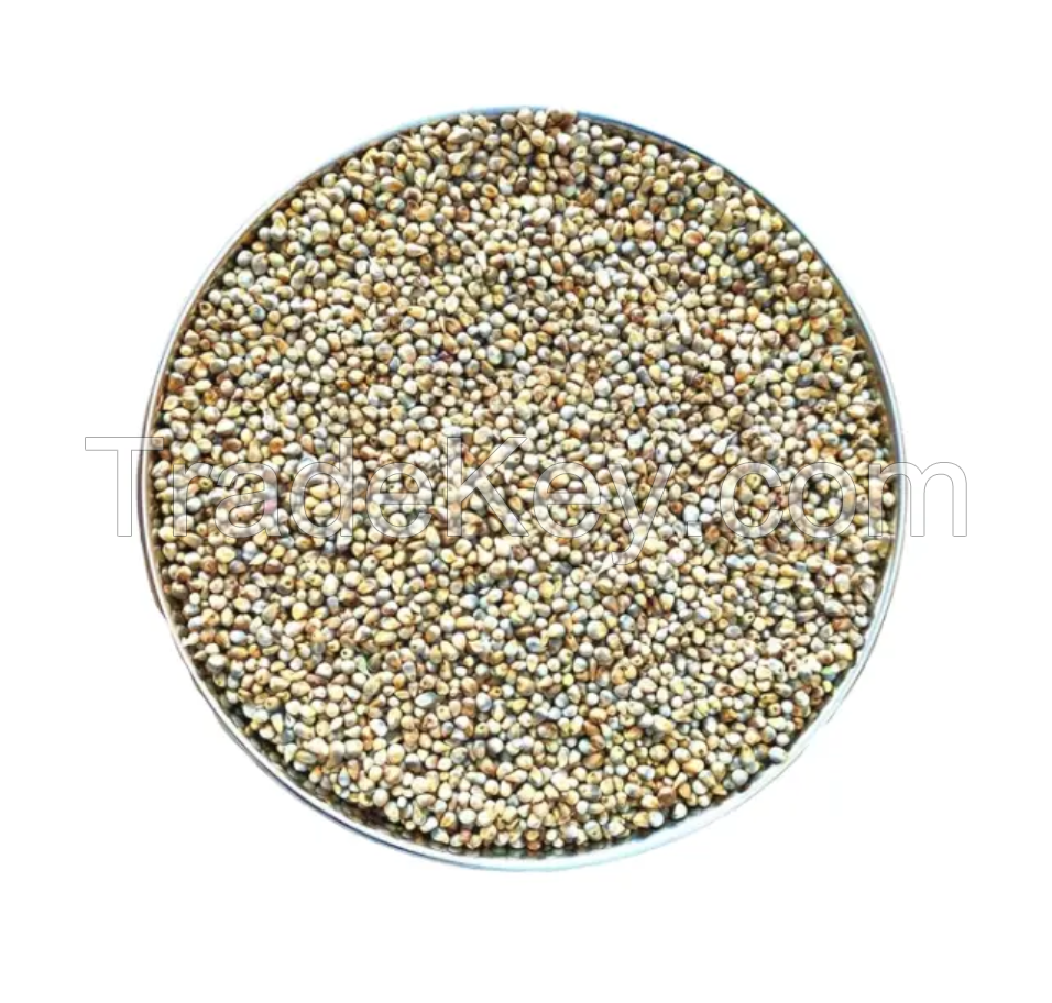 Crop Grain Dried Hulled Yellow Millet For Bird Feed