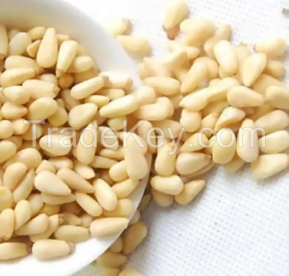 100% Nature Pine Nuts Wild Pine Nuts Organic Pine Nuts Kernels with Shells