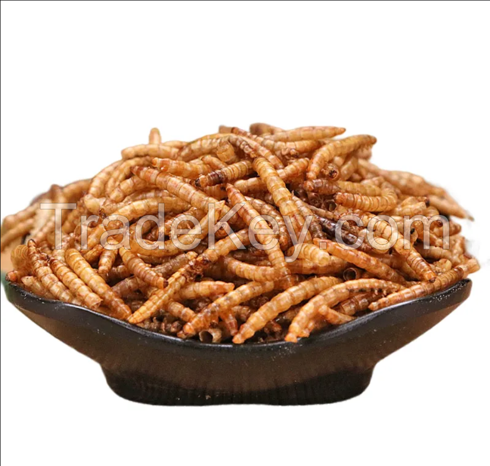 Animal Food Improve Health Dried Mealworms
