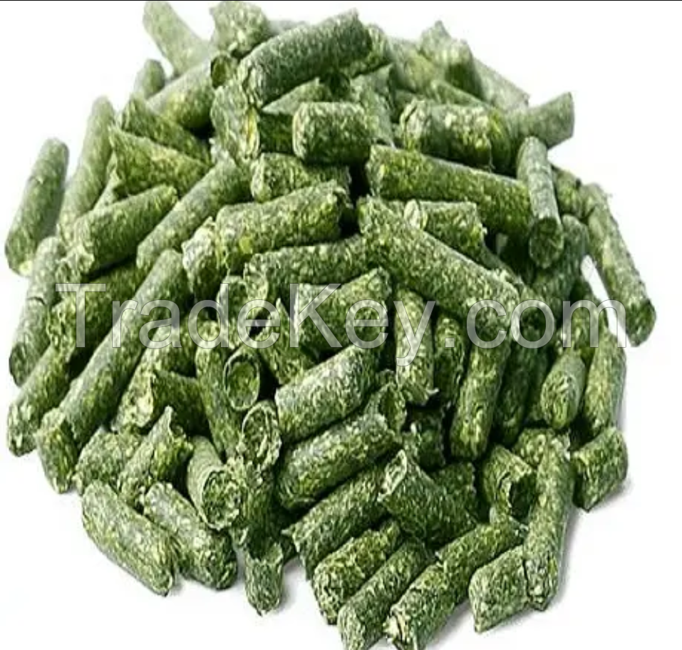 Alfafa Hay Animal Feeding Stuff Alfalfa, hay/alfalfa hay pellets Timothy Hay/ Alfafa in Bales Best Super Top Quality