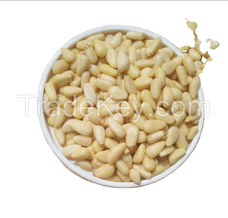 Top Grade Afghan Pine Nuts Chalgoza Top Quality Pine Nuts