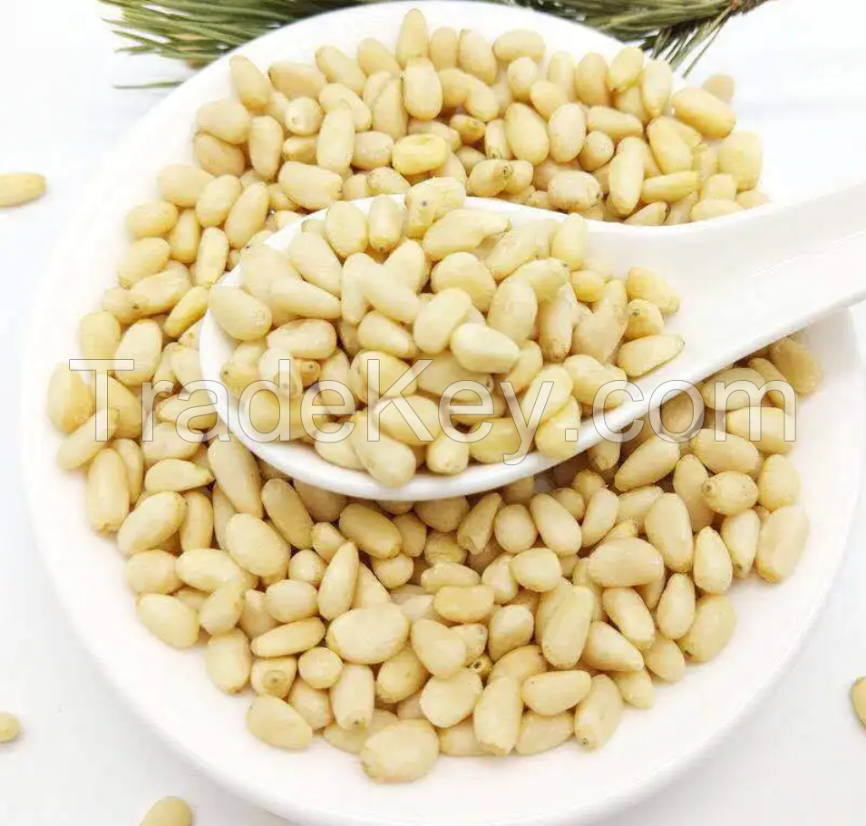Good Quality Top Selling 100% Pure Natural Pine Nuts and Raw Common Food Grade Aa