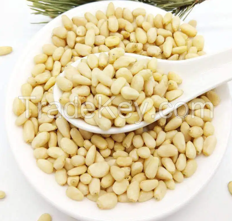 Top Grade Afghan Pine Nuts Chalgoza Top Quality Pine Nuts