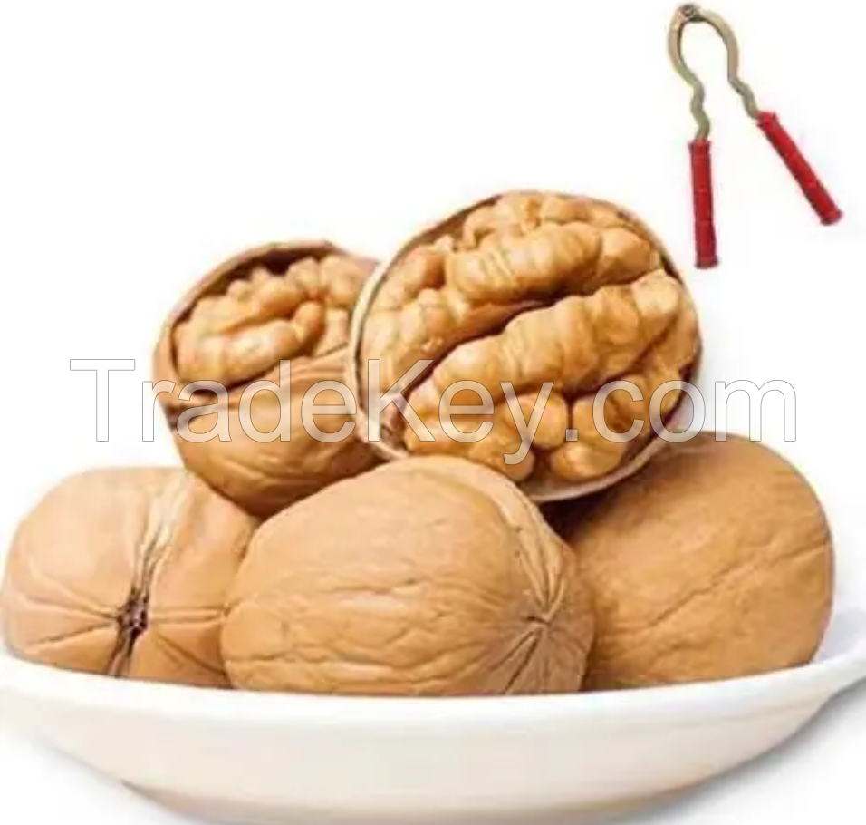 New Crop Walnut Kernel / Walnut / Whole Walnut Without Shell